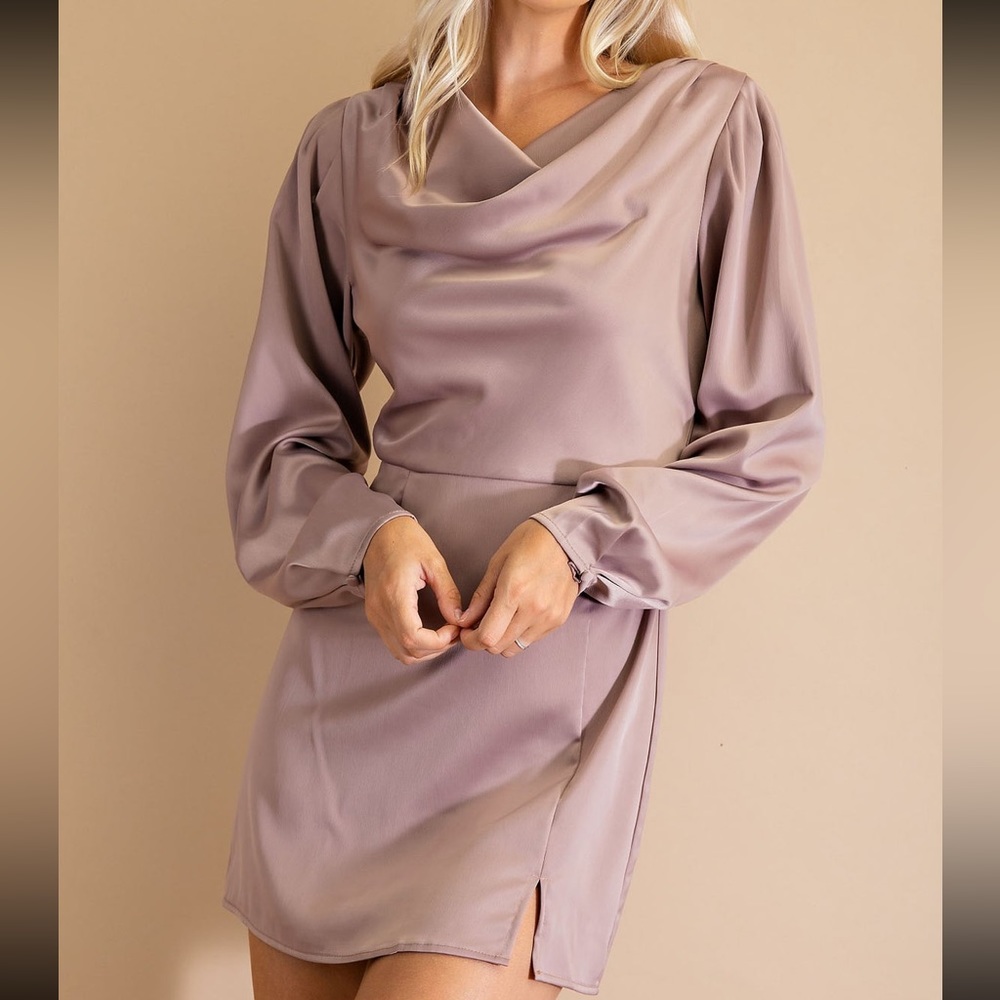 Long sleeve silky dress in mushroom. NWT